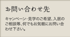 お問い合わせ先